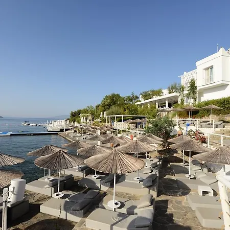 Doria Beach House Apartament